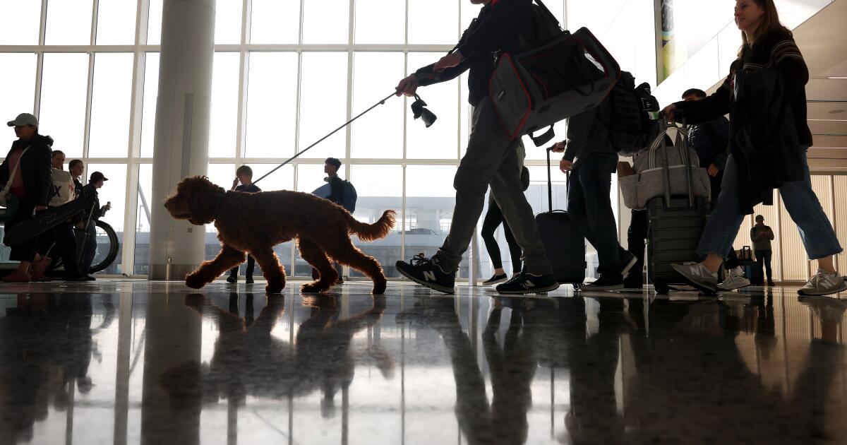 Sul da Califórnia se prepara para aeroportos e rodovias lotados