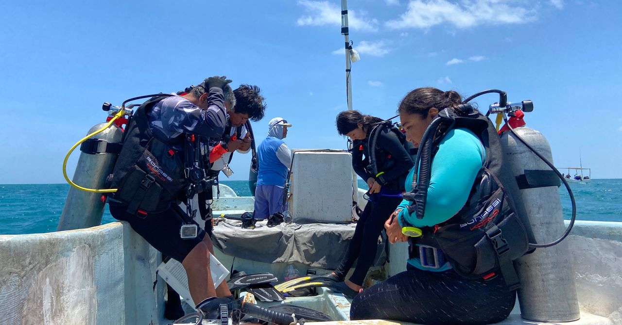 Como os refúgios de pesca do México estão lutando contra a caça furtiva