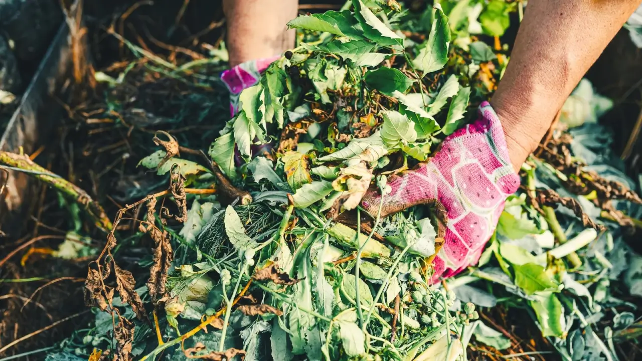 3 maneiras de criar valor a partir de resíduos agrícolas