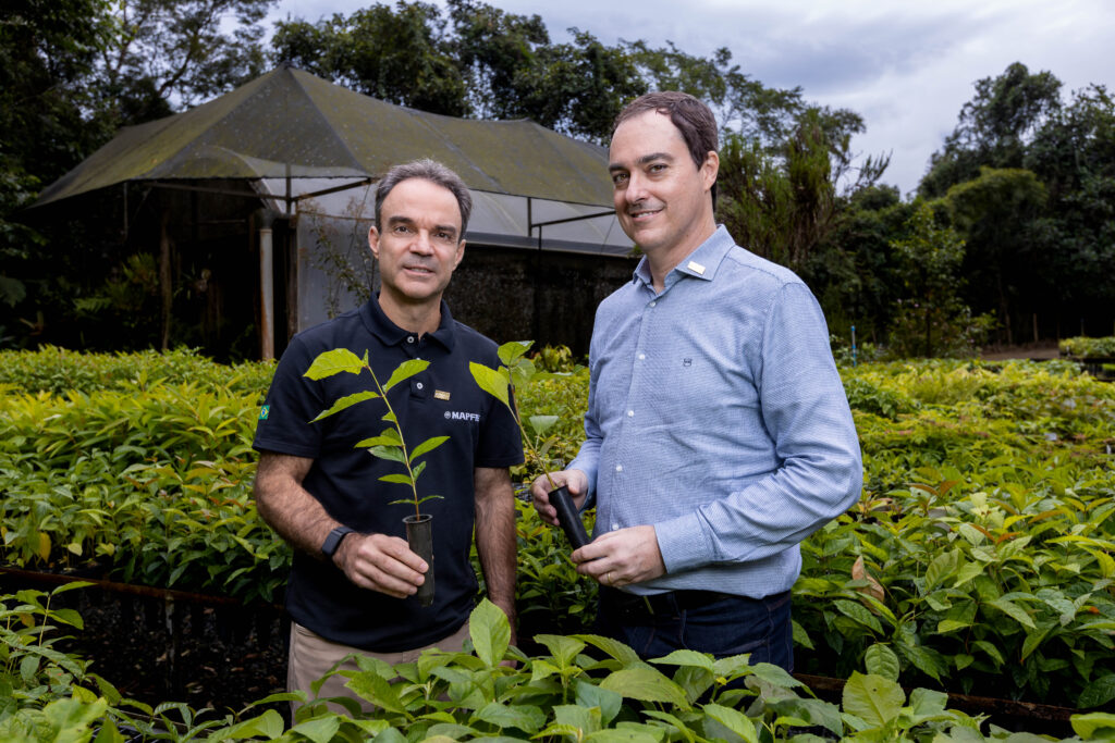 Floresta MAPFRE: o futuro plantado de forma segura