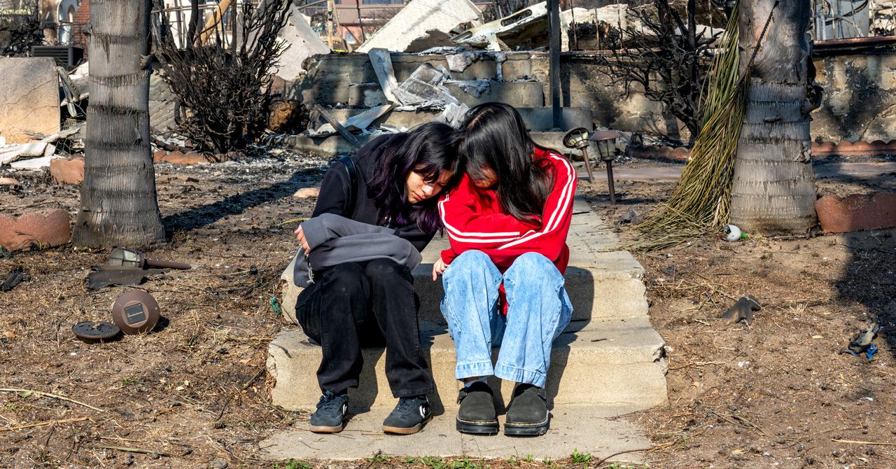 Por que está demorando tanto para se reconstruir depois dos incêndios florestais