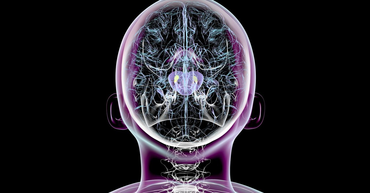 Os cientistas conseguem reverter os sintomas de Parkinson em ratos
