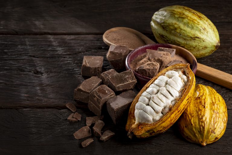 Comissão debate sustentabilidade na produção e na comercialização de cacau e chocolate – Notícias