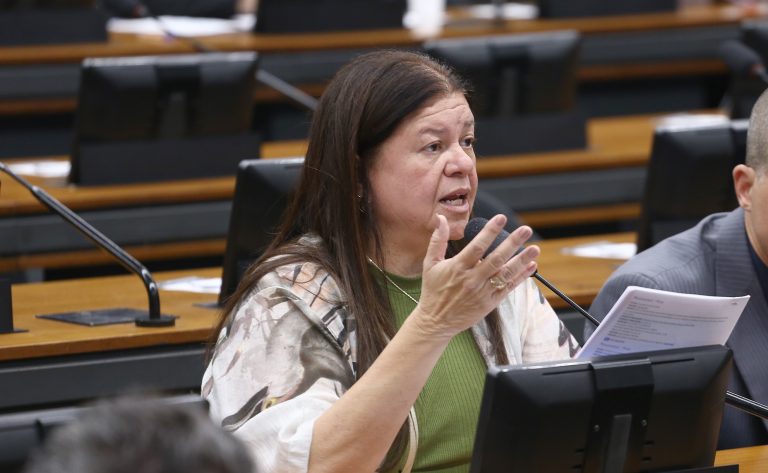 Comissão aprova incentivo a práticas sustentáveis como diretriz da política de agricultura familiar – Notícias