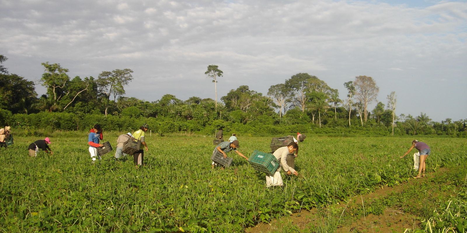 Programa AgroAmigo oferece R$ 1 bilhão em microcrédito