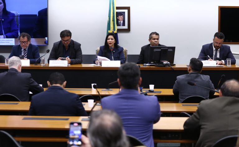 Parlamentares buscam saída para embargos do Ibama na Amazônia Legal – Notícias
