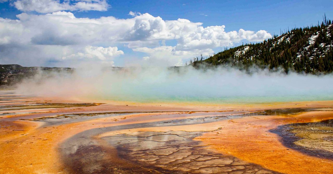 Essas células recém -descobertas respiram de duas maneiras