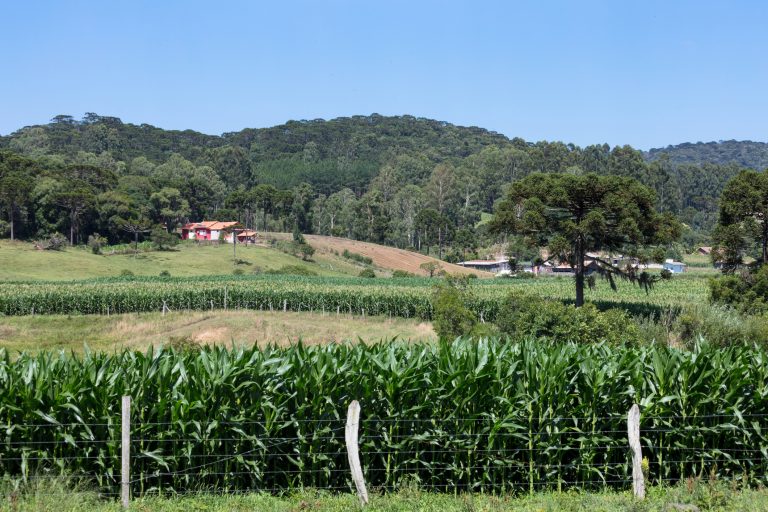 Nova lei prorroga até 2030 prazo para regularização de imóveis na fronteira – Notícias