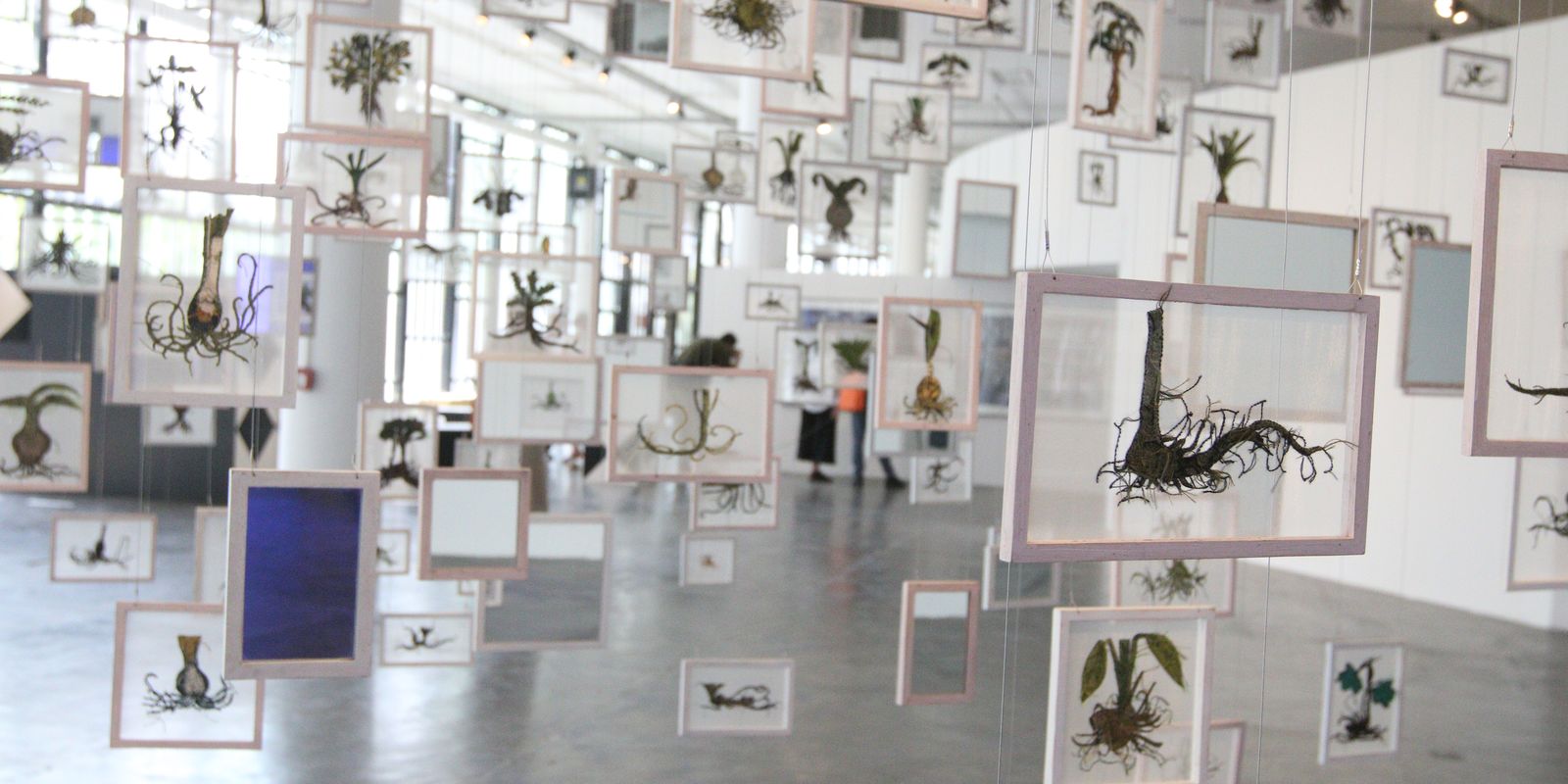 36ª Bienal de São Paulo abre suas portas neste sábado, no Ibirapuera