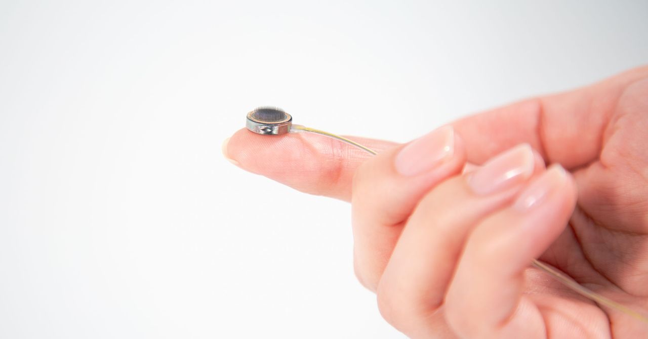 Paradromics obtém aprovação da FDA para testar seu implante cerebral em pessoas