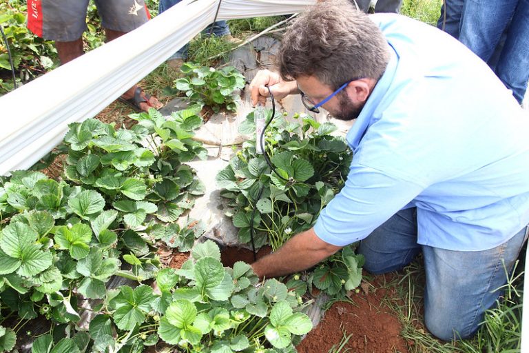 Comissão debate implementação e ampliação da extensão rural na Região Nordeste – Notícias