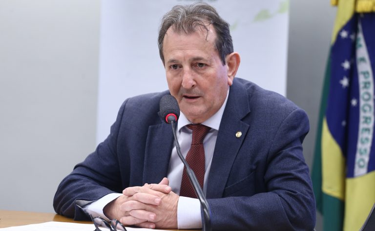 Comissão aprova programa de sementes nativas para ampliar restauração ambiental – Notícias