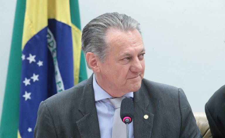 Comissão de Agricultura da Câmara cobra regulamentação de lei sobre cultivo sustentável de bambu – Notícias