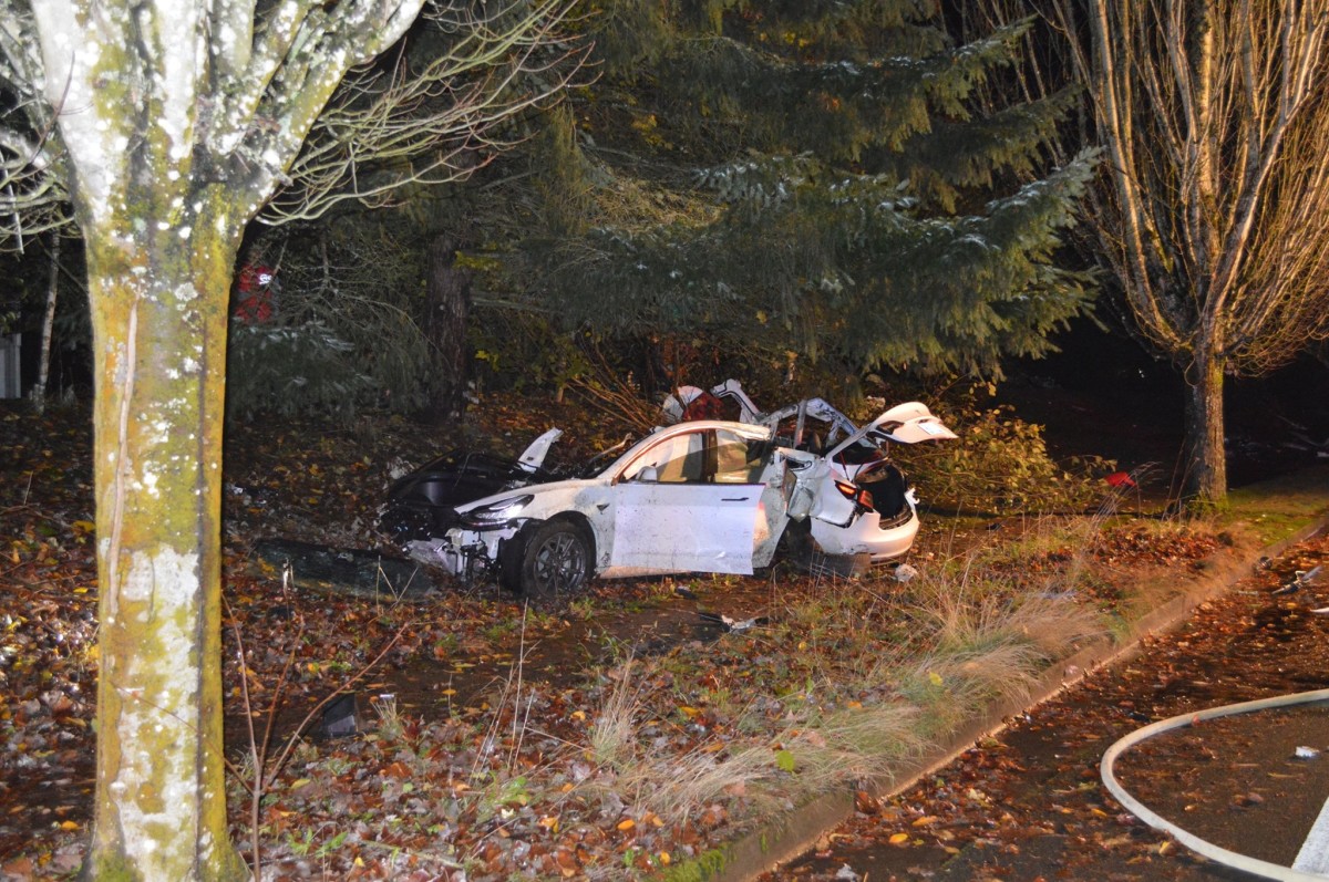 Pelo menos 15 pessoas morreram em acidentes de Tesla devido a portas elétricas defeituosas