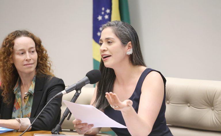 Deputadas defendem reserva de cadeiras para consolidar presença feminina na política – Notícias