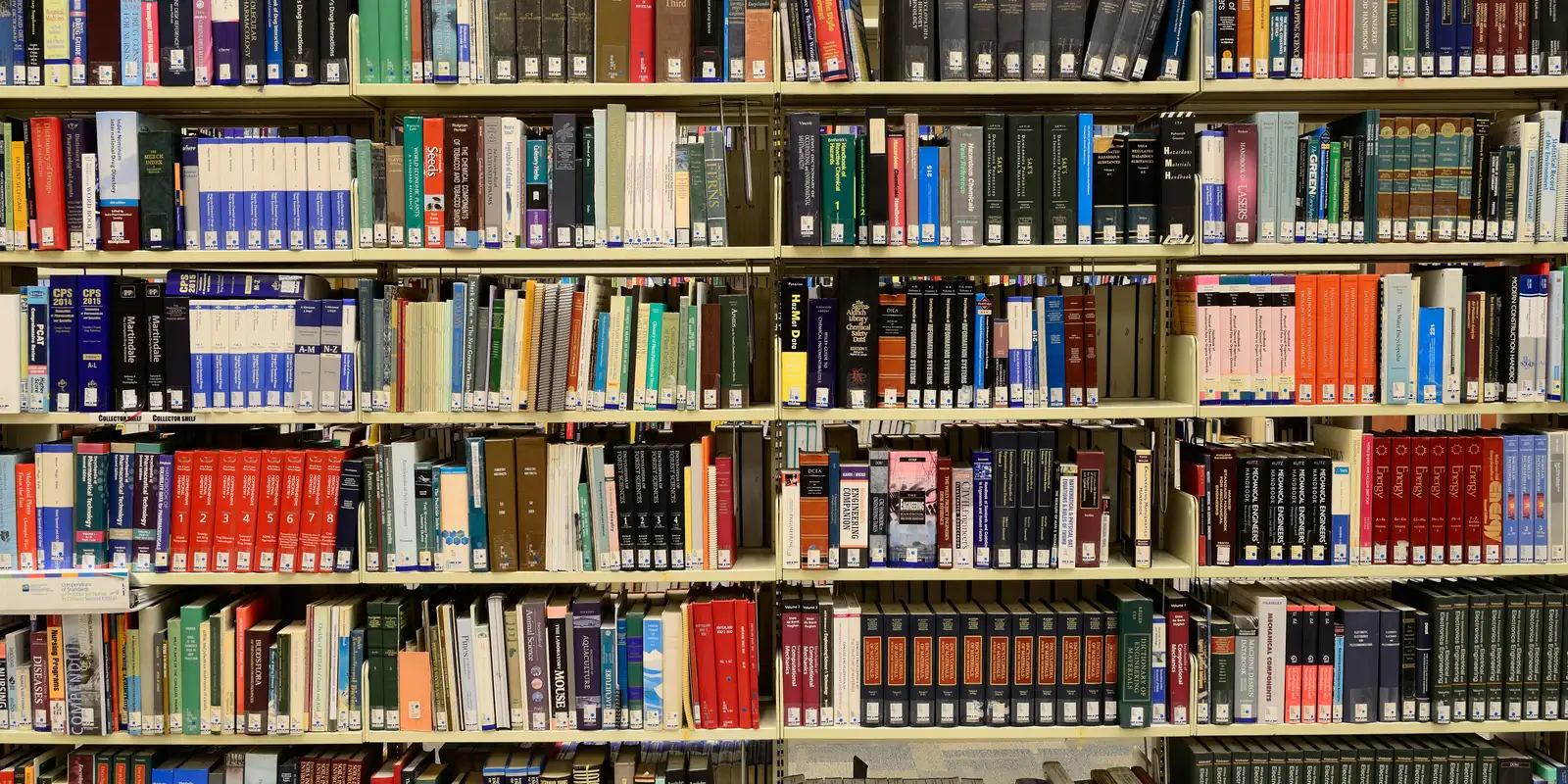 MEC lança aplicativo gratuito para empréstimo e leitura de livros