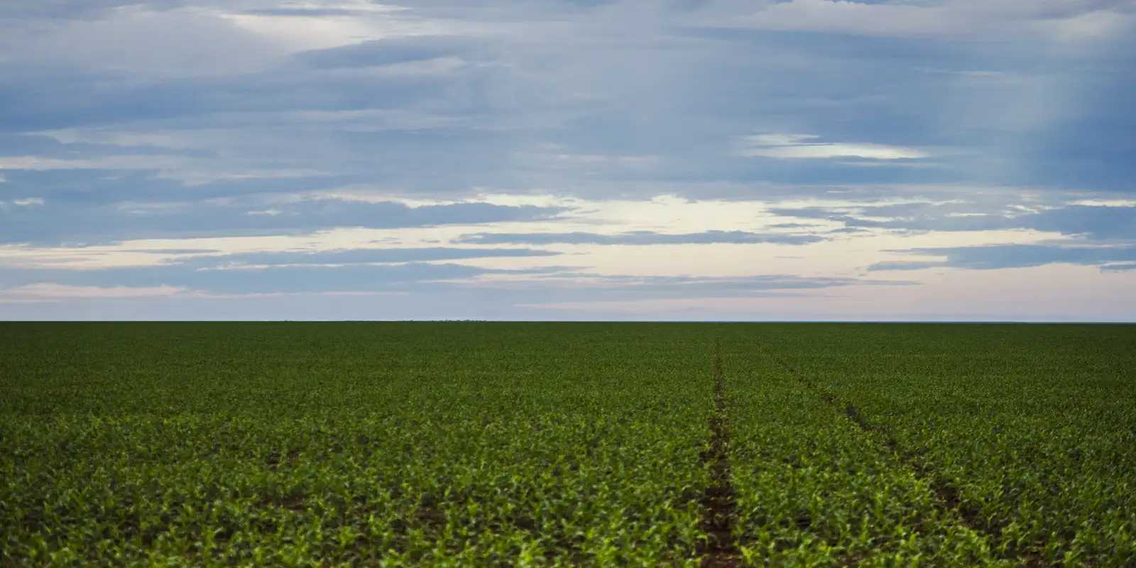 Fazenda estuda Fundo Garantidor para dívidas rurais