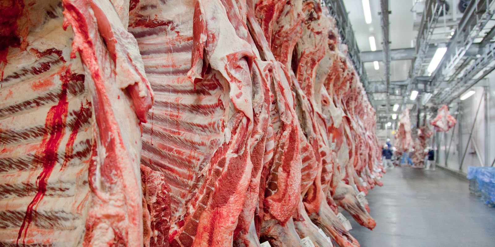 Governo promete reverter veto da UE a carnes e animais brasileiros