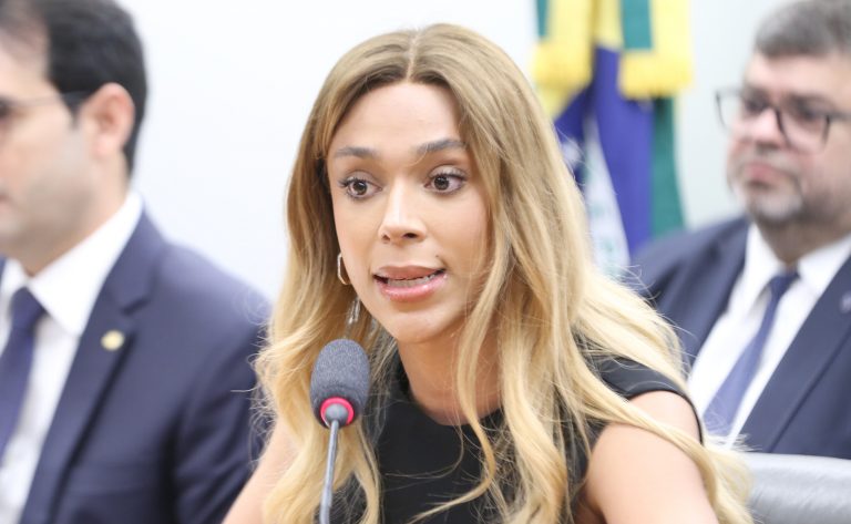 Comissão aprova projeto que exige autodeclaração de cor de candidatos e cria regras para cotas eleitorais – Notícias