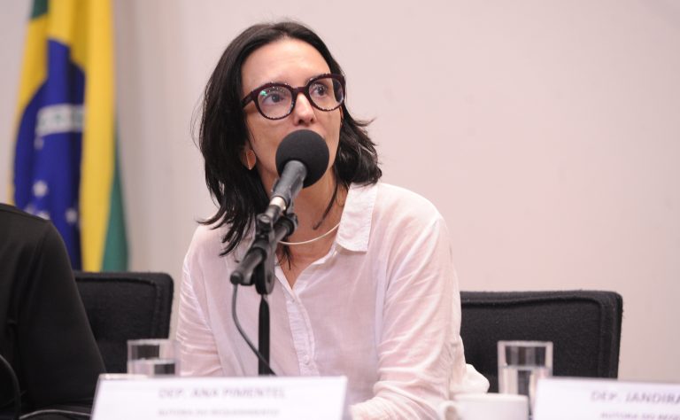 Comissão debate proteção a produtores rurais afetados pelas chuvas na Zona da Mata mineira – Notícias