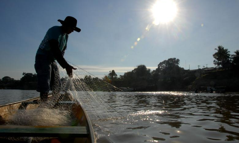 Nova lei cria Semana Nacional de Promoção da Pesca Artesanal – Notícias