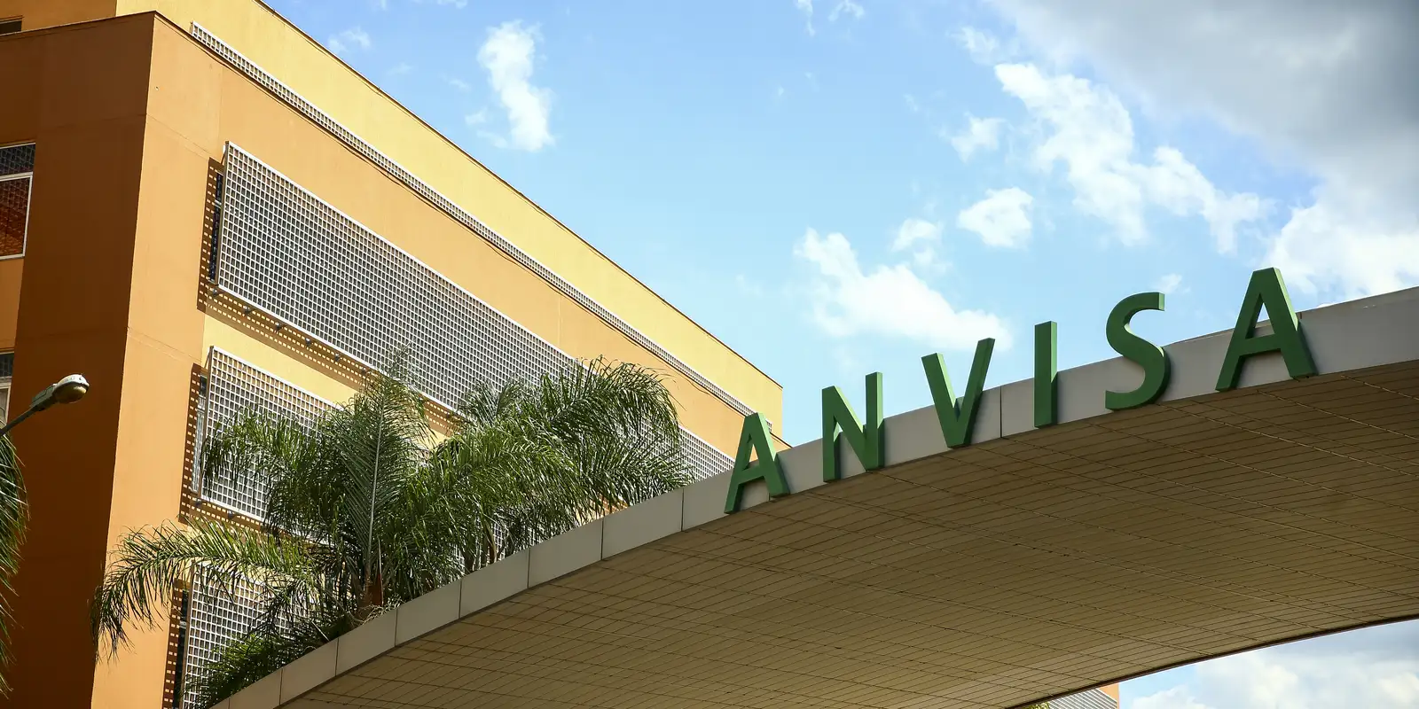 Anvisa proíbe plataforma de consulta online e entrega de medicamento
