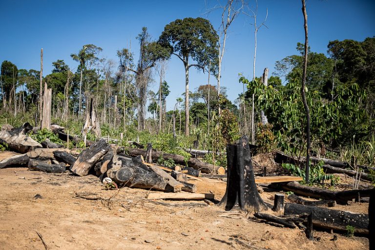 Comissão discute crimes ambientais, agronegócio e fundos de investimento; participe – Notícias