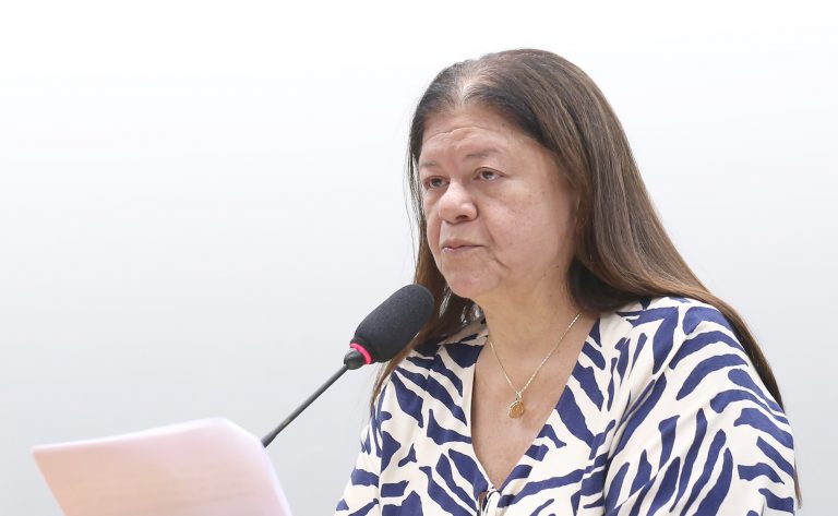 Comissão aprova projeto que prioriza mulher chefe de família em linhas de crédito da agricultura familiar – Notícias