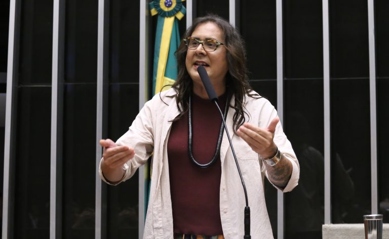 Comissão aprova projeto que obriga instalação de telhados verdes em novos prédios públicos – Notícias