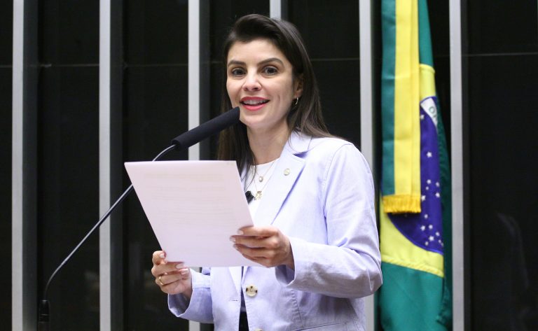 Comissão de Agricultura aprova regras para regularização fundiária em florestas públicas da União – Notícias