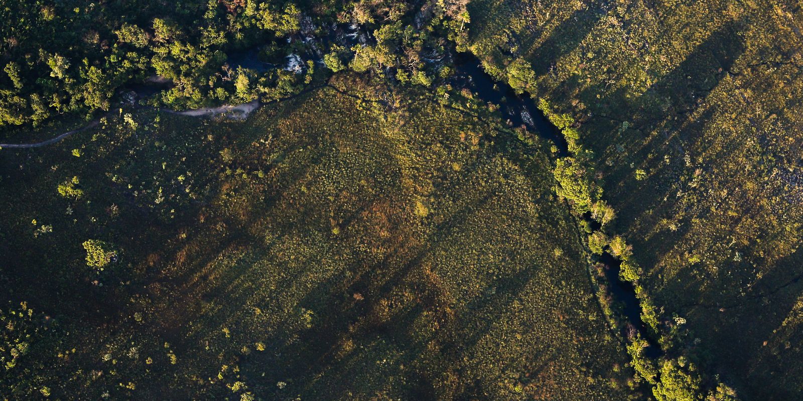 Financiamentos a projetos rurais sustentáveis terão juros mais baixos