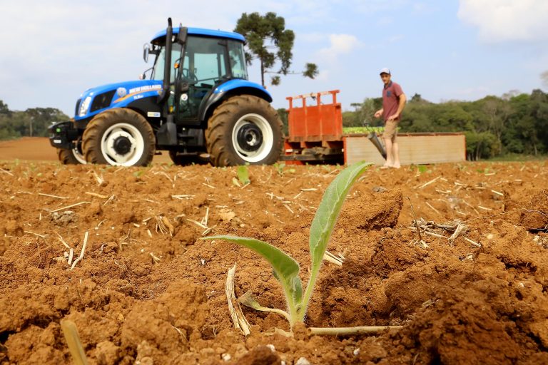 Medida provisória cria linhas de crédito para produtores rurais afetados pelo clima e pela queda de preços – Notícias